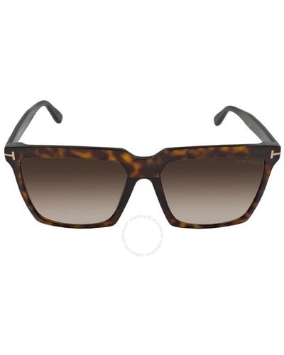 Tom Ford Sabrina Gray Gradient Browline Sunglasses - Brown