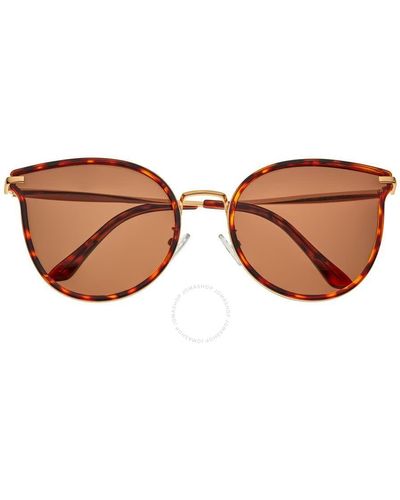 Bertha Gold Tone Cat Eye Sunglasses Brsbr056c3 - Brown