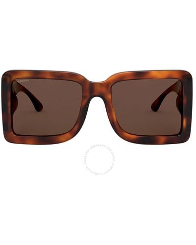 Burberry Brown Square Sunglasses Be4312 331673 55