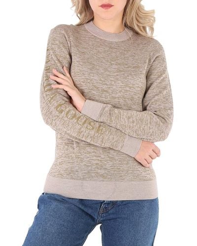 Canada Goose Saturna Crewneck Wordmark Reflective Sweater - Gray