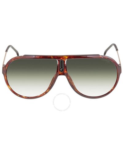 Carrera Gradient Pilot Sunglasses - Brown