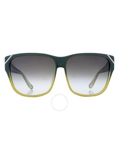 Yohji Yamamoto X Linda Farrow Grey Cat Eye Sunglasses Yy18 Claw C3