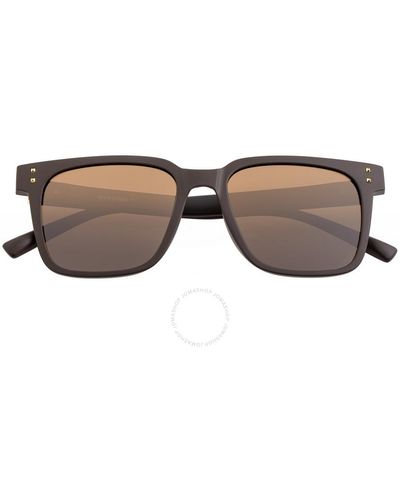 Sixty One Capri Square Sunglasses Sixs109bn - Brown