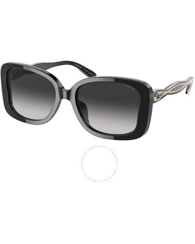 COACH Gradient Butterfly Sunglasses Hc8334u 50023c 53 - Black