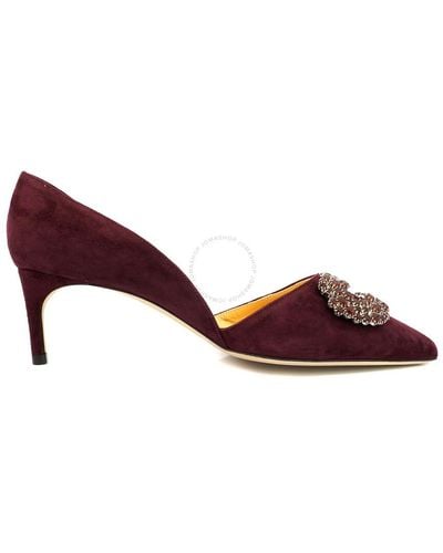 Giannico Merlot Daphne 60 Suede Court Shoes - Red