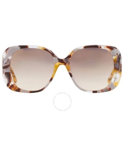 Guess Square Sunglasses - Brown