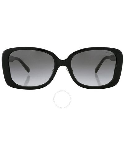 COACH Grey Gradient Butterfly Sunglasses Hc8334f 50023c 55 - Black