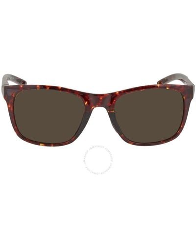 Under Armour Square Sunglasses - Brown