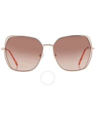 Guess Factory Gradient Brown Butterfly Sunglasses Gf0416 28f 60 - Pink