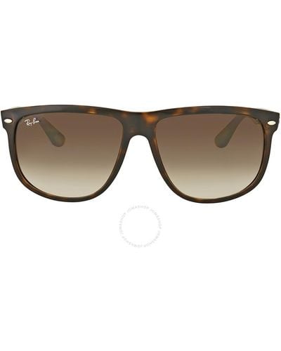 Ray-Ban Eyeware & Frames & Optical & Sunglasses Rb4147 710/51 - Brown