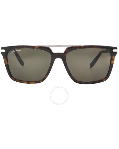 Ferragamo Brown Browline Sunglasses Sf1037s 240 57 - Metallic