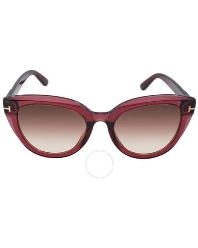 Tom Ford Tori Gradient Cat Eye Sunglasses Ft0938 69t 53 - Pink