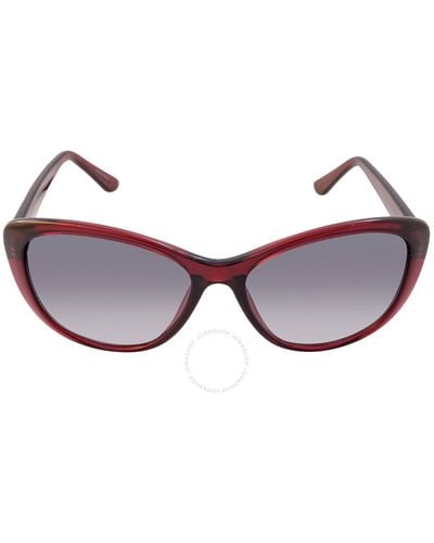 Calvin Klein Grey Gradient Cat Eye Sunglasses - Brown