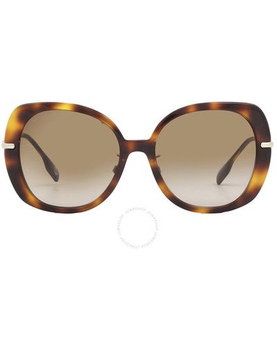 Burberry Eugenie Gradient Butterfly Sunglasses Be4374f 331613 55 - Brown