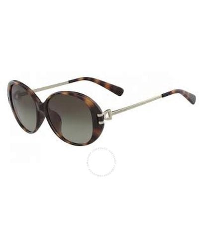Longchamp Oval Sunglasses Lo610sa 214 58 - Grey