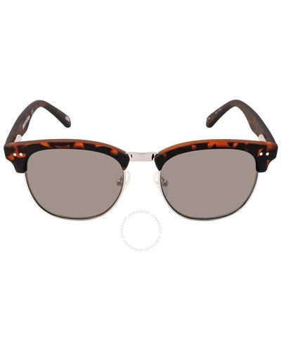 Skechers Oval Sunglasses - Brown