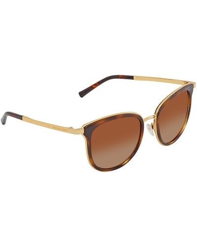 Michael Kors Adrianna Brown Gradient Cat Eye Sunglasses