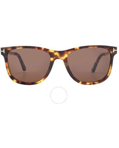 Tom Ford Sinatra Brown Square Sunglasses Ft1104 52e 53