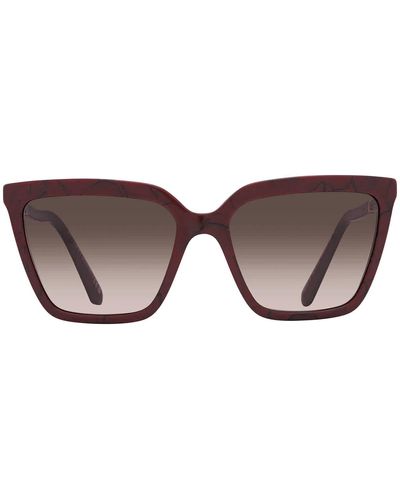 BVLGARI Gradient Cat Eye Sunglasses - Brown