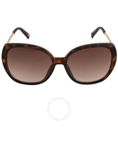 Skechers Gradient Butterfly Sunglasses - Brown