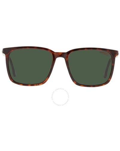 Carrera Square Sunglasses 259/s 0086/qt 55 - Green