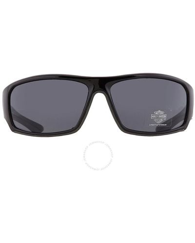 Harley Davidson Smoke Wrap Sunglasses Hd0670 01a 64 - Gray