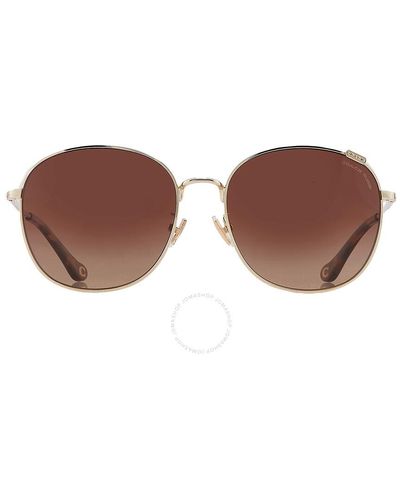 COACH Polarized Brown Round Sunglasses Hc7134 9005t5 57