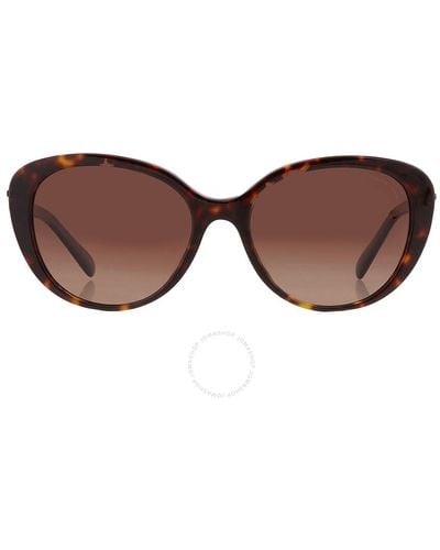 COACH Polarized Brown Gradient Oval Sunglasses Hc8348u 5120t5 56