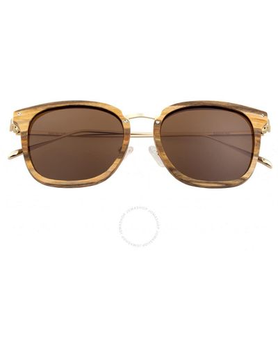 Earth Nosara Square Sunglasses - Brown