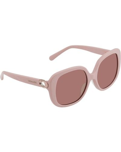 COACH Light Brown Square Sunglasses  569173 56 - Pink