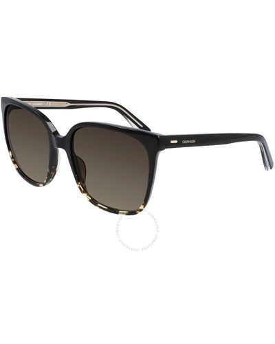 Calvin Klein Brown Square Sunglasses Ck21707s 033 57 - Black