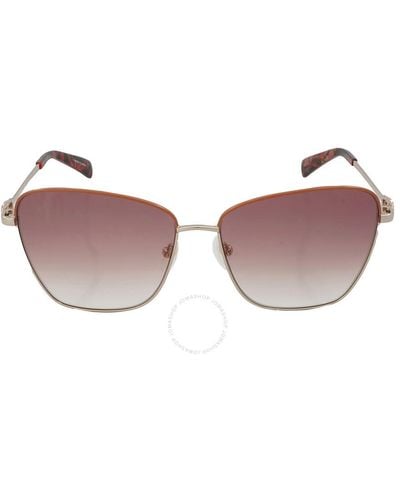 Longchamp Light Brown Gradient Square Sunglasses Lo153s 737 59 - Pink