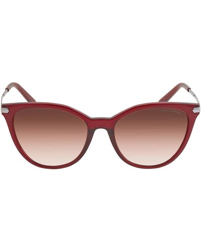 Armani Exchange Pink Gradient Cat Eye Sunglasses - Brown