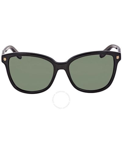 Ferragamo Square Sunglasses Sf815s 001 56 - Brown