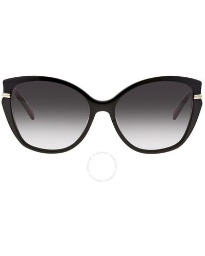 Longchamp Gray Gradient Cat Eye Sunglasses Lo627s 001 57 - Black
