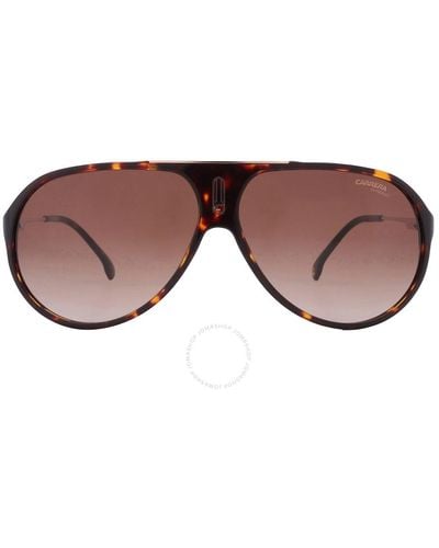 Carrera Shaded Pilot Sunglasses Hot 65 0086/ha 63 - Brown