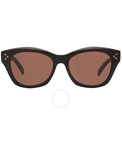 Celine Brown Cat Eye Sunglasses Cl40217u 01e 55
