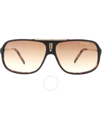 Carrera Light Brown Gradient Navigator Sunglasses Cool Csvid 65 - Black