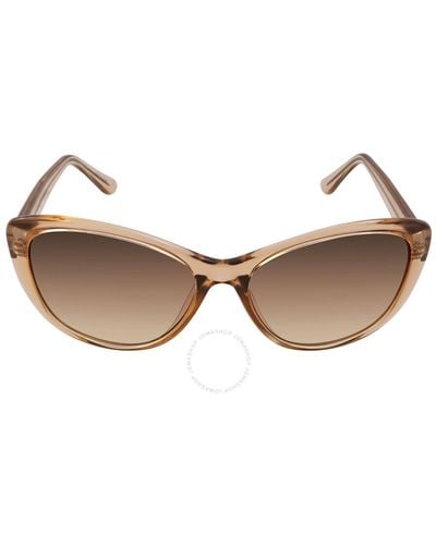 Calvin Klein Brown Gradient Butterfly Sunglasses