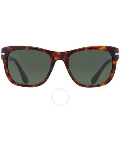 Persol Green Square Sunglasses Po3313s 24/31 55 - Brown