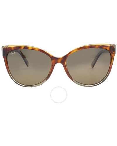 Maui Jim Olu Olu Hcl Bronze Butterfly Sunglasses Hs537-10a 57 - Brown