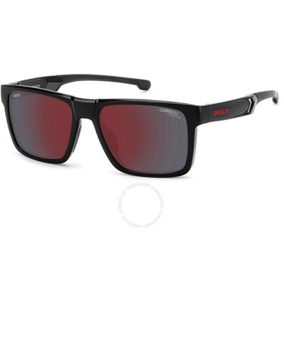 Ducati Black Sun Glass - Get Best Price from Manufacturers & Suppliers in  India