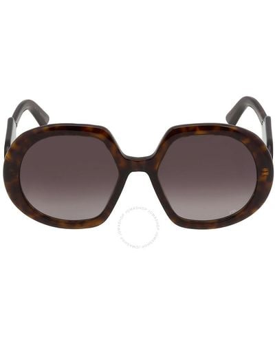 Dior Gradient Smoke Butterfly Sunglasses Bobby R1u 20a1 56 - Brown