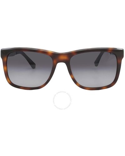 Calvin Klein Brown Gradient Square Sunglasses Ck22519s 236 56 - Black