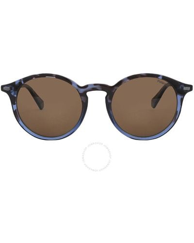 Polaroid Polarized Bronze Round Sunglasses Pld 2116/s 0ipr/sp 49 - Brown