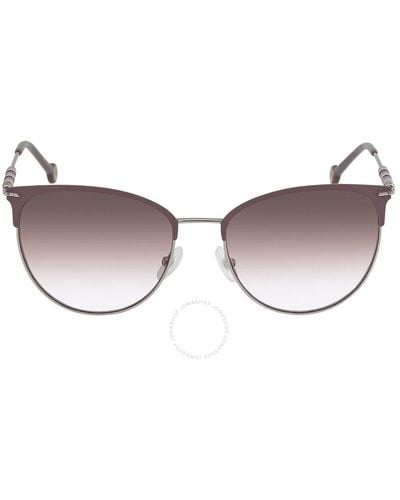 Carolina Herrera Brown Violet Square Sunglasses Ch 0037/s 0kts Qr 58