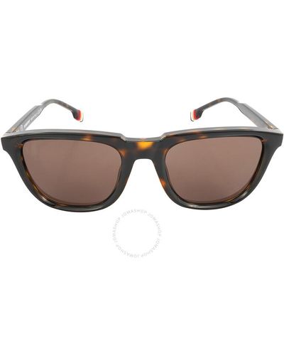 Burberry Dark Brown Square Sunglasses Be4381u 300273 54