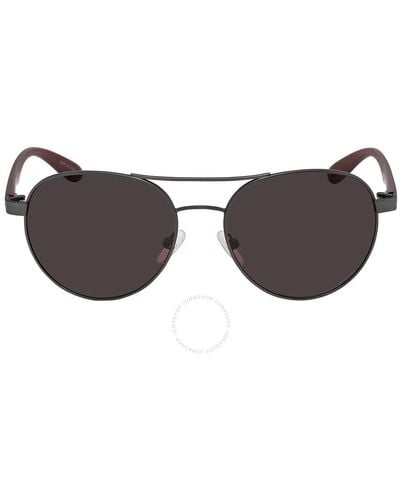 Calvin Klein Pilot Sunglasses Ck19313s 008 55 - Brown