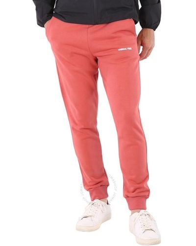Save The Duck Clay Logo Print Sweatpants - Red