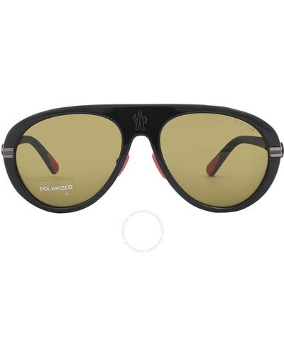 Moncler Navigaze Polarized Brown Pilot Sunglasses Ml0240 01h 57 - Green